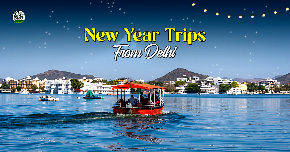 New Year Trip Package 